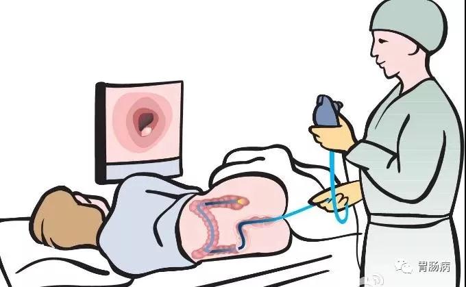 “胃”你好嗎？“腸”來看看！