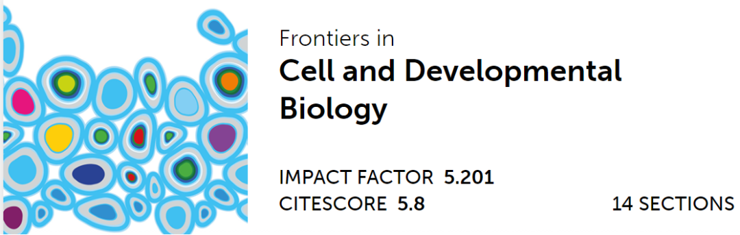 心臟病醫(yī)院王海昌院長科研團(tuán)隊(duì)在心肌病研究領(lǐng)域有新突破！