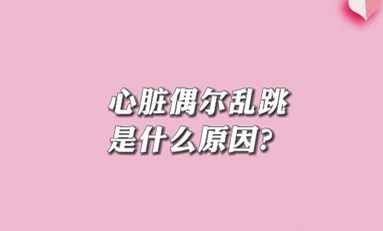 【名醫(yī)面對(duì)面之心臟100問(wèn)】心臟偶爾亂跳是什么原因？