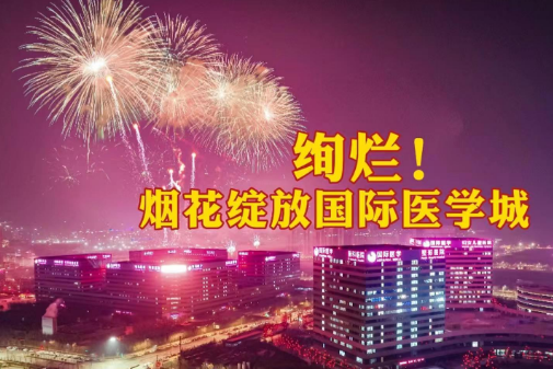 絢爛！煙花綻放國際醫(yī)學城