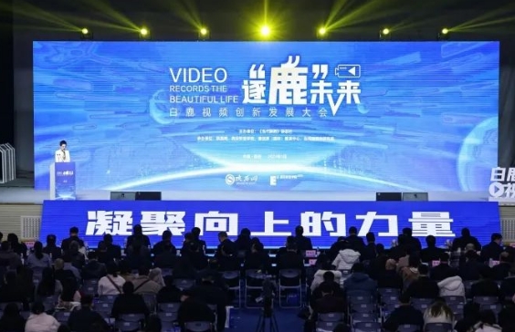 我院短視頻創(chuàng)作經驗在白鹿視頻創(chuàng)新發(fā)展大會上分享